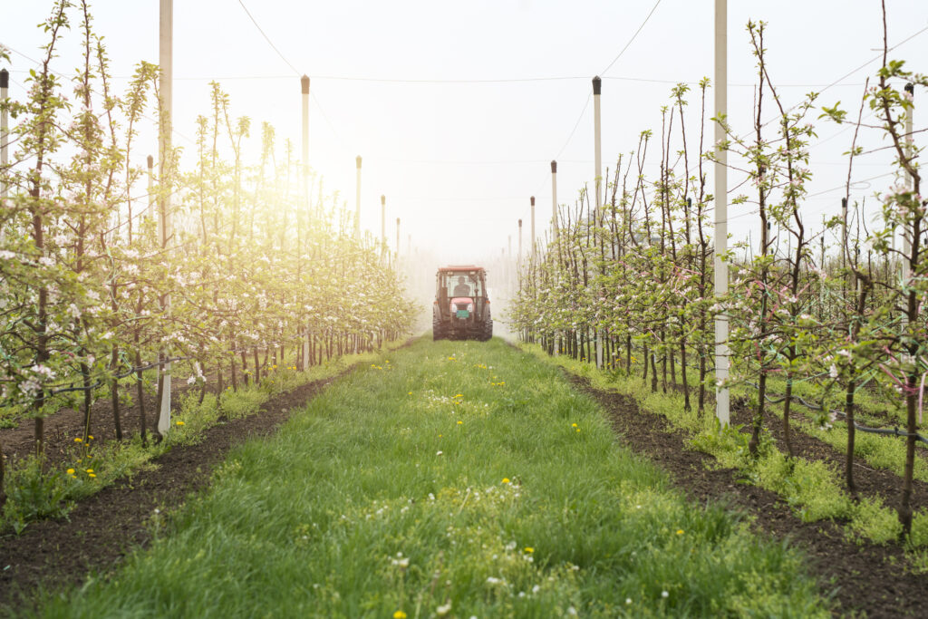 L’impact des pesticides sur l’environnement