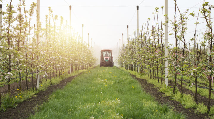 L’impact des pesticides sur l’environnement
